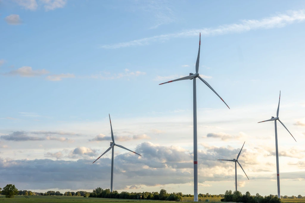 Parque eólico para la producción de energía